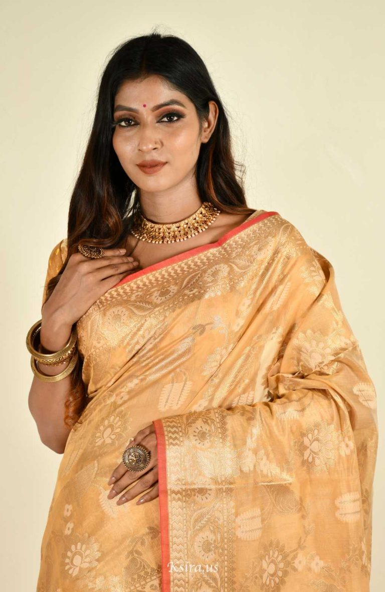 Banarasi Cotton Silk Saree